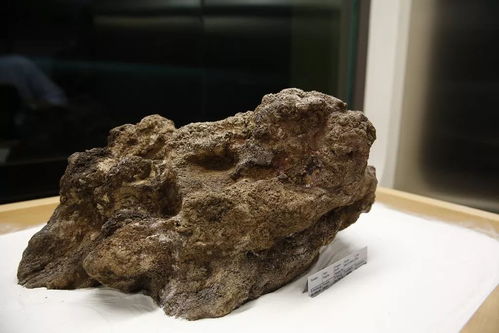 撿石者的意外驚喜 木雕刻品，價(jià)值連城的自然饋贈(zèng)